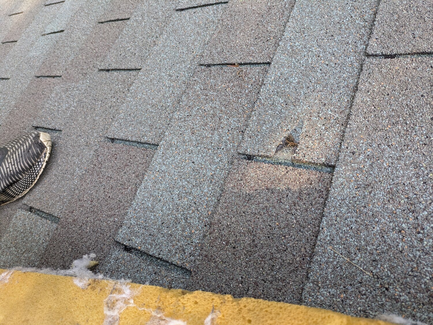 Finished roof — Greensboro, NC